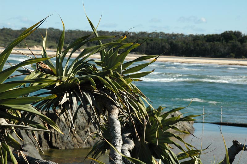 Sawtell Beach